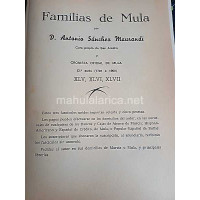 LIBRO DE APELLIDOS SERIE 2º TOMO 45,46,47